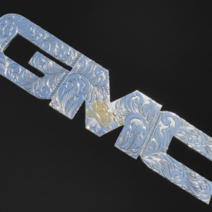 Golden Monopoly GMC Engraved Front Emblem /choose the year
